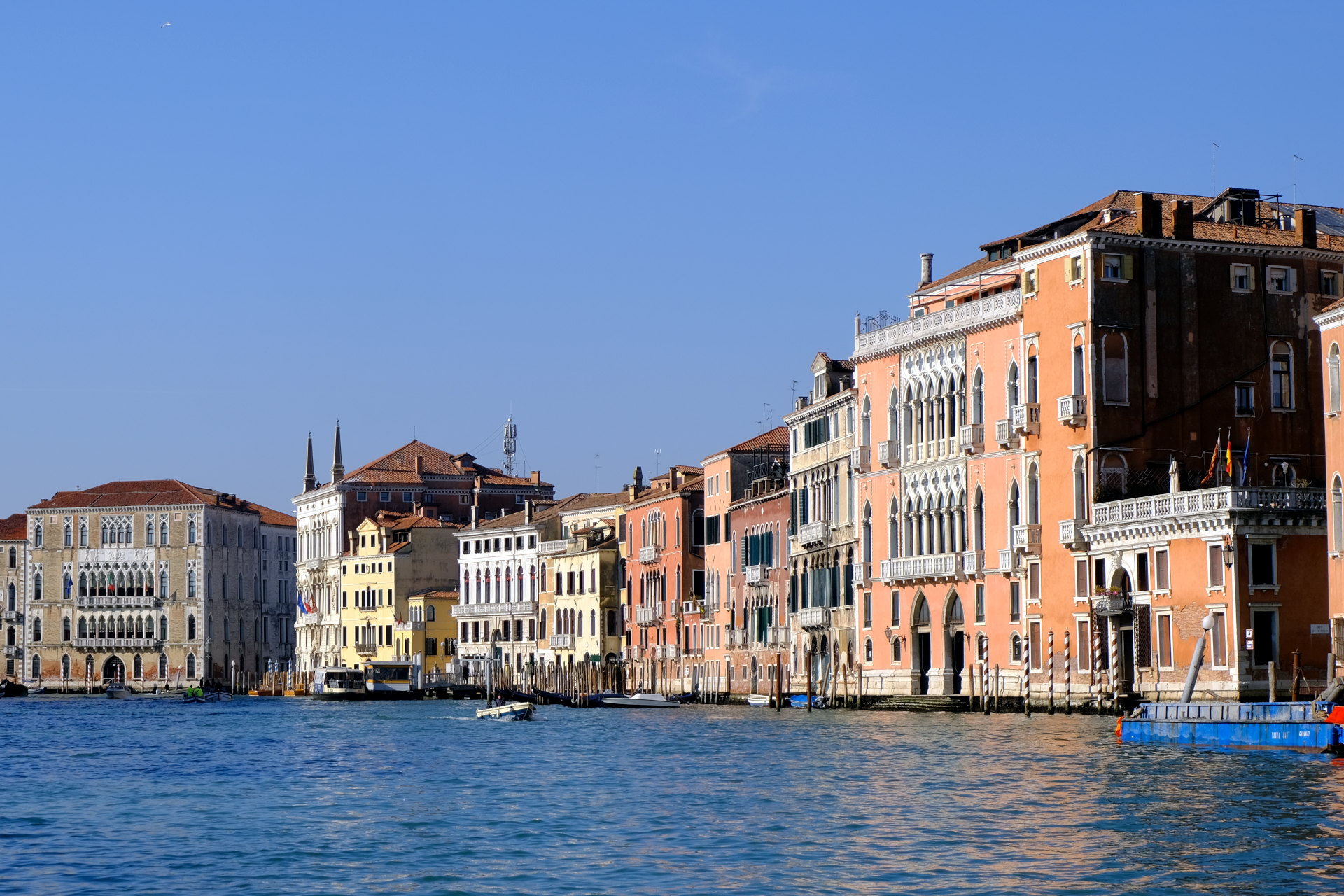 DSCF2068_edit_crop_scale_86