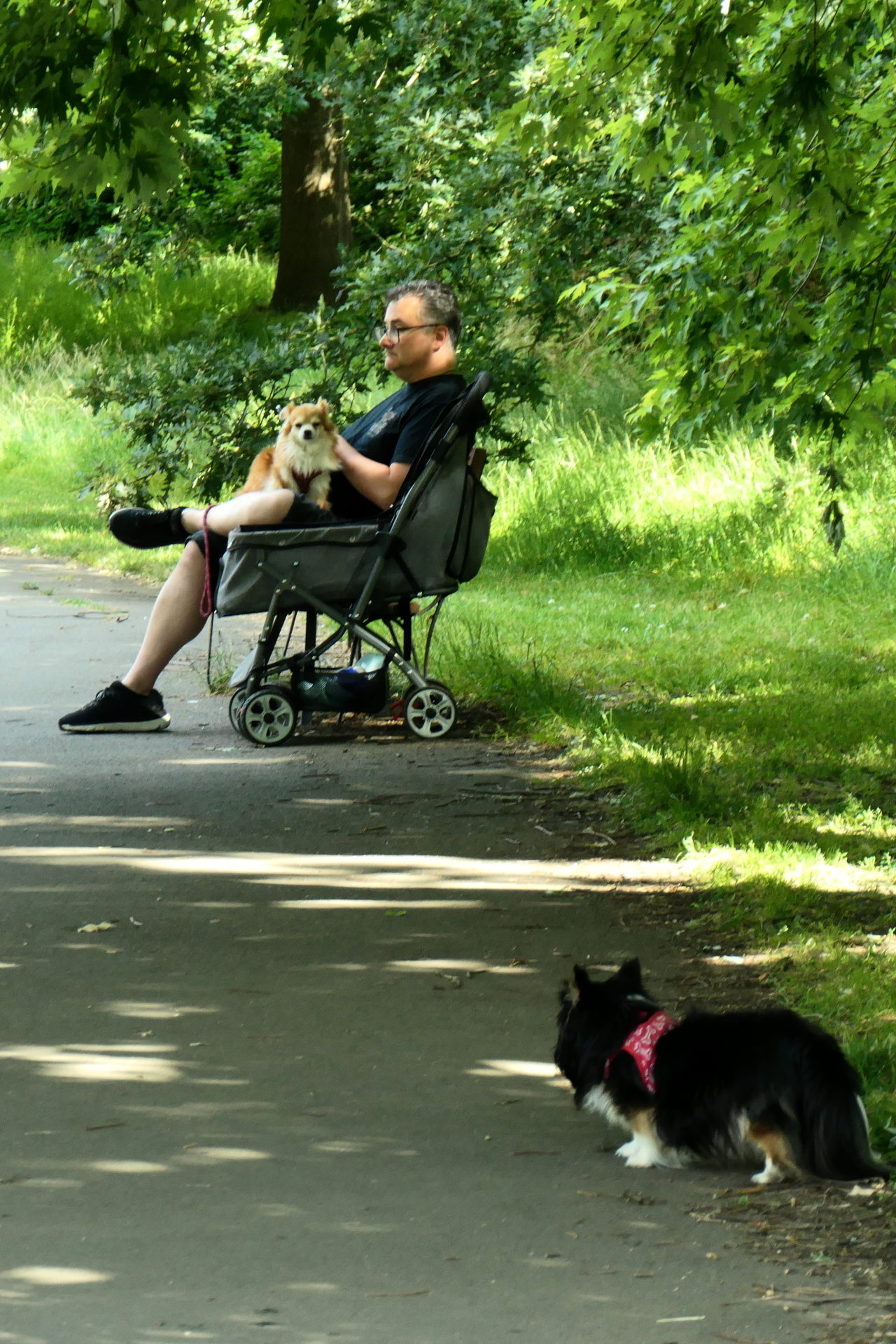 P1001609_edit_vertcrop_scale_82