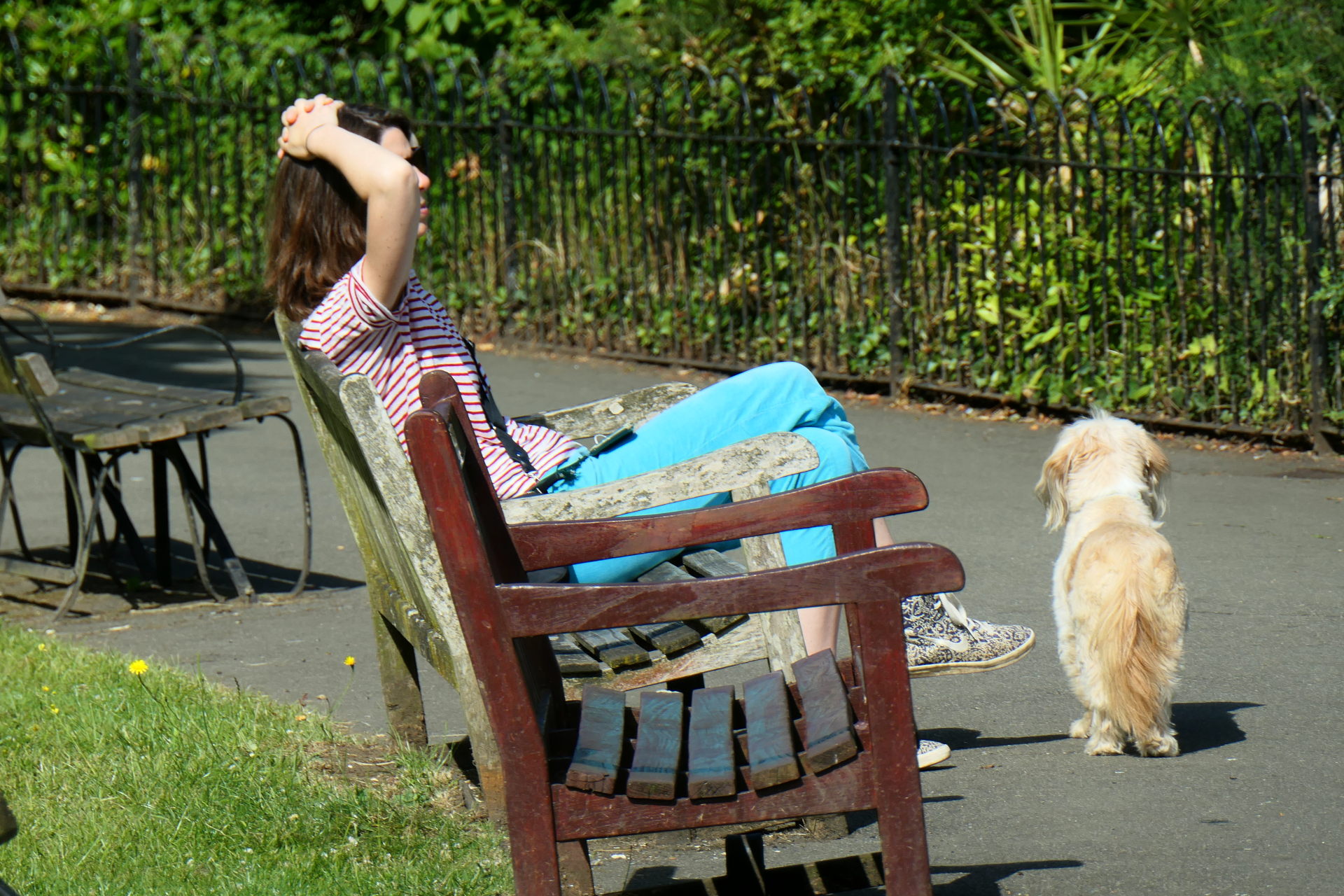 P1001773_edit_crop_scale_81