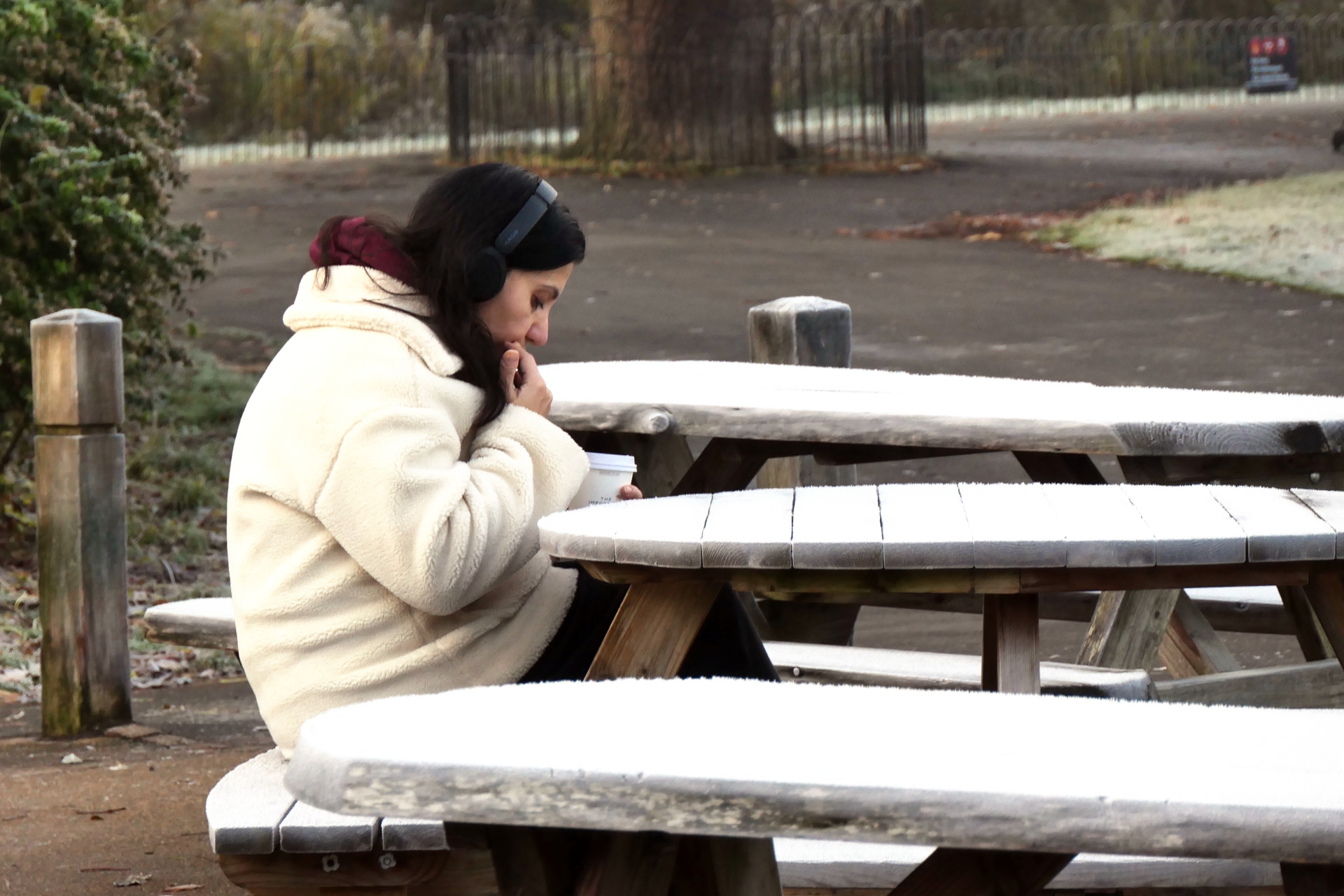 P1045153_edit_crop_scale_93