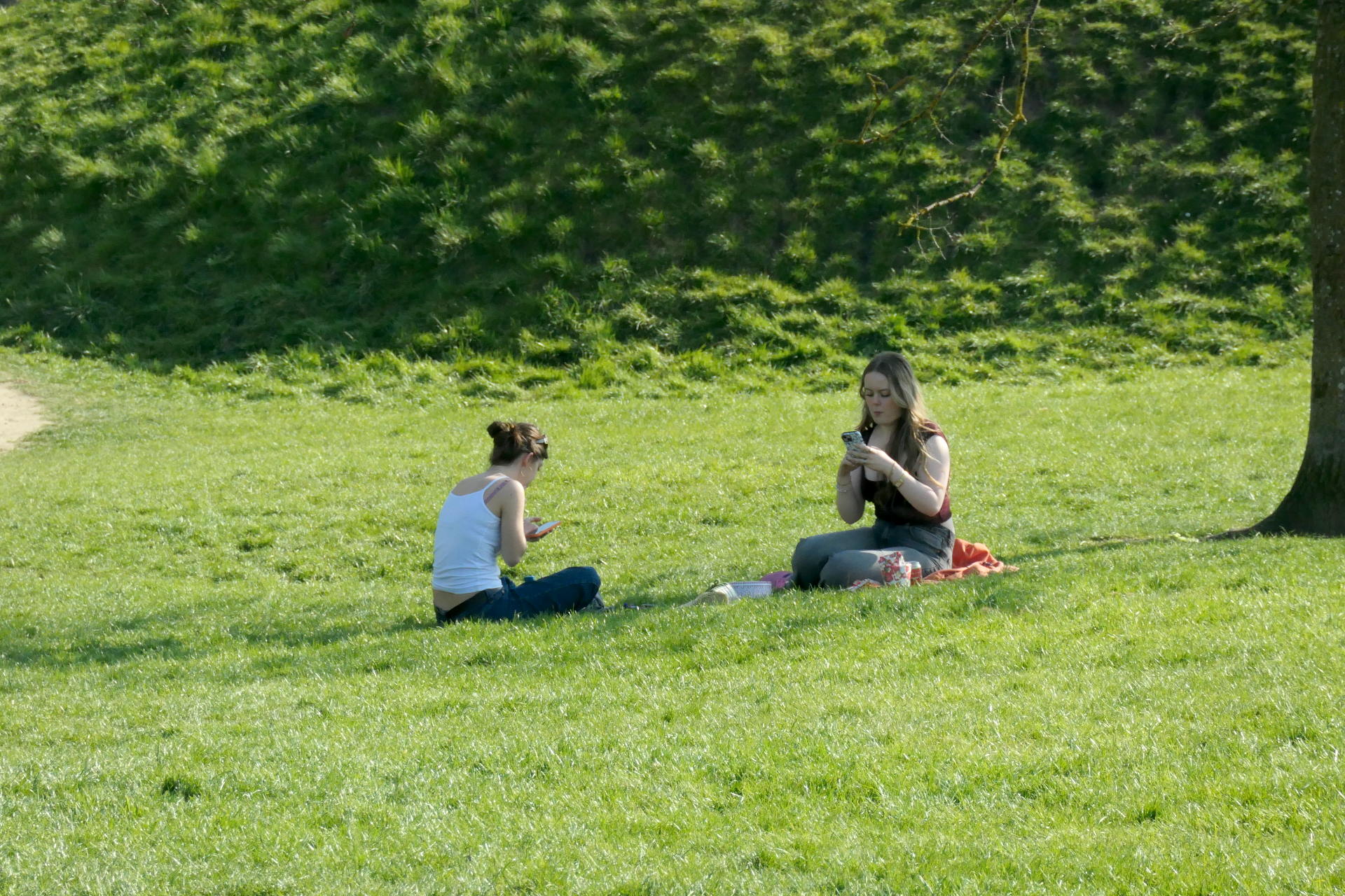 P1056566_edit_crop_scale_73