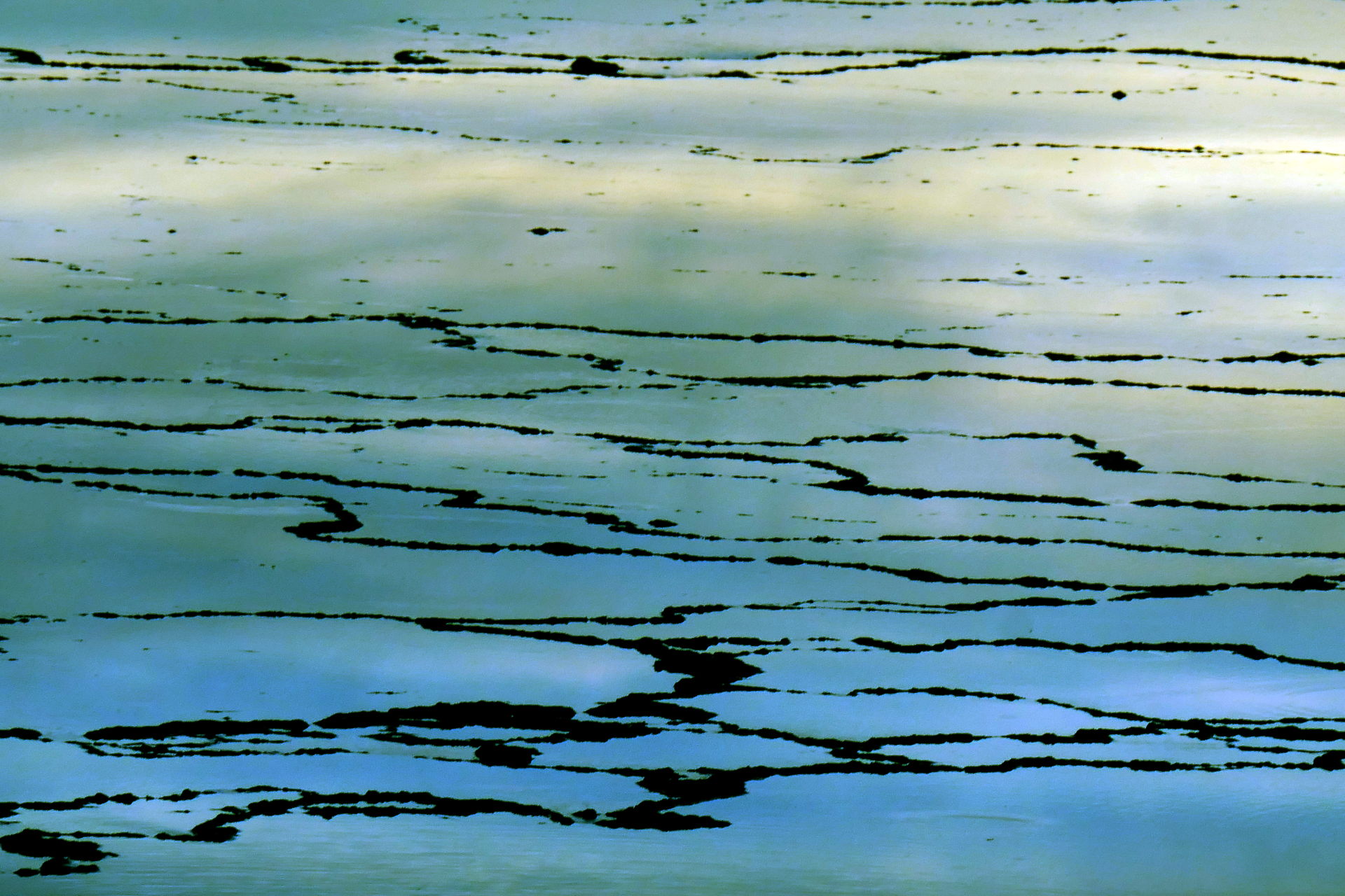 P1066935_edit_scale_81