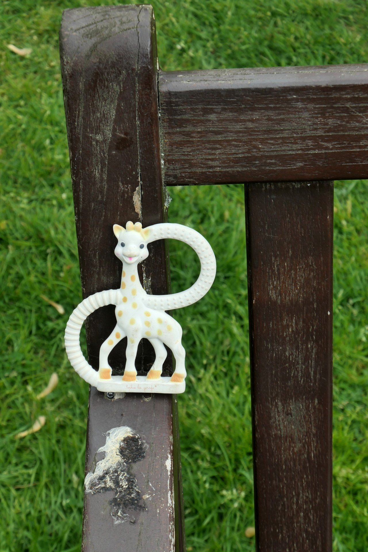 P1067050_edit_crop_scale_88