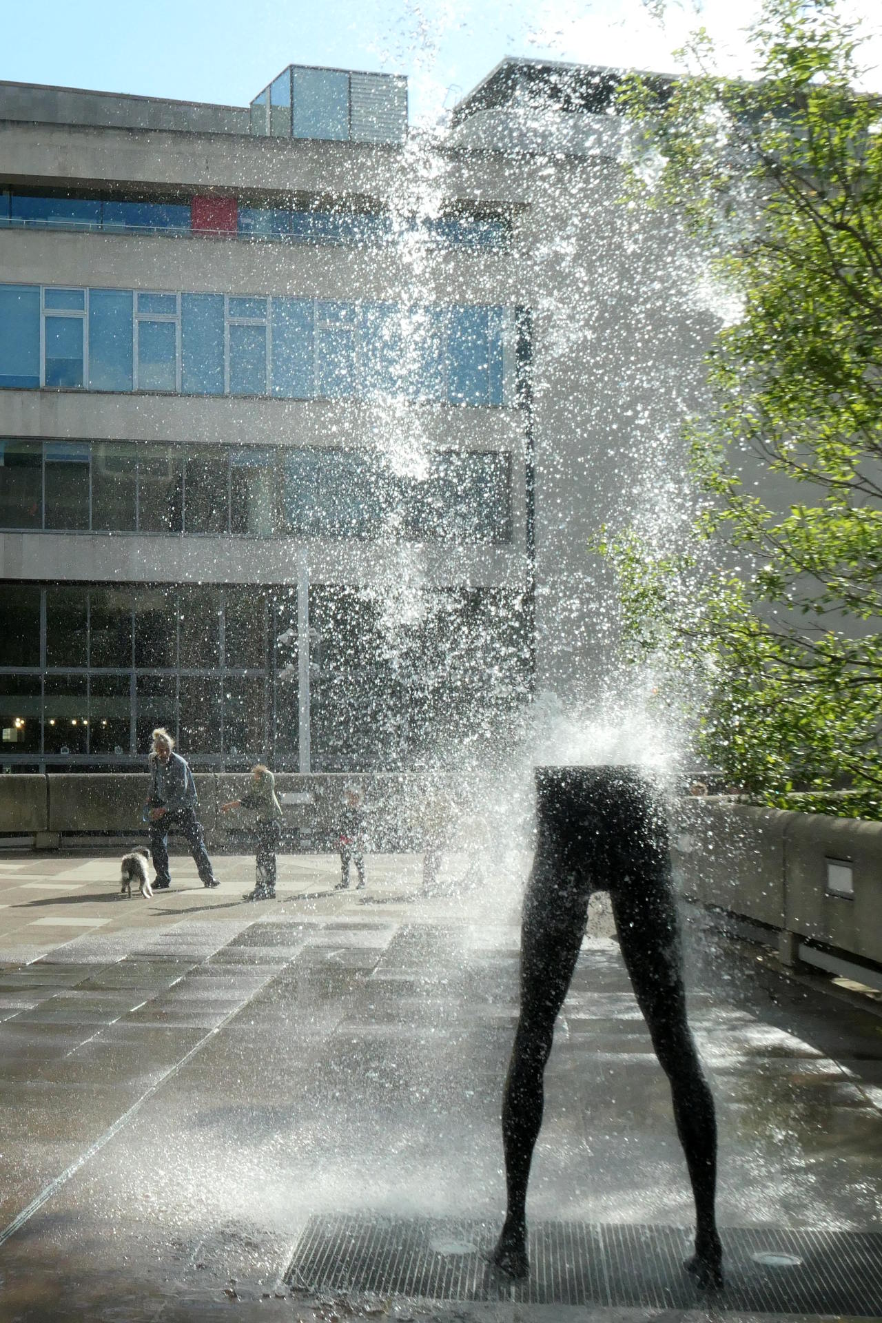 P1067113_edit_crop_scale_73