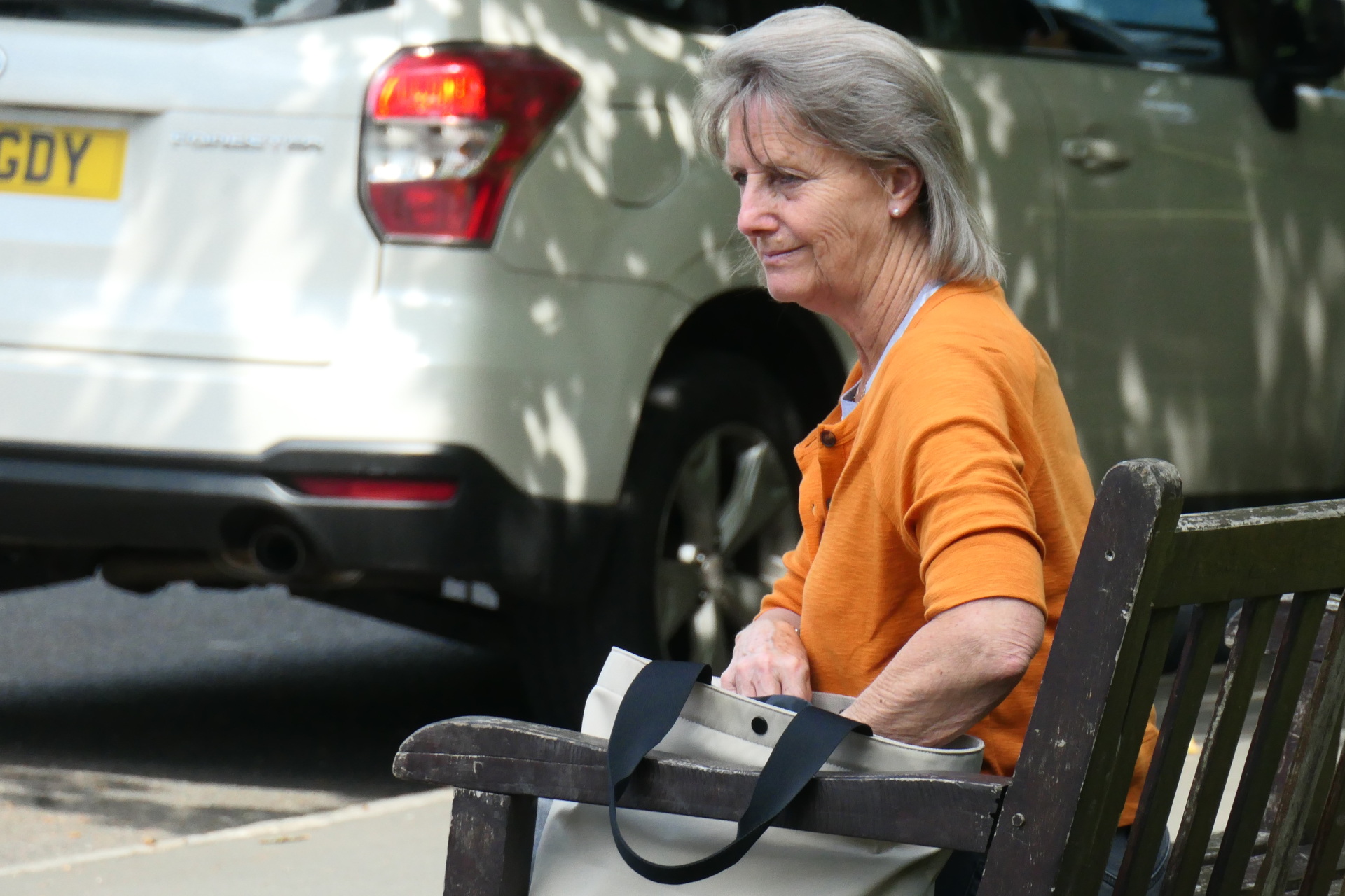 P1068211_crop_scale_94