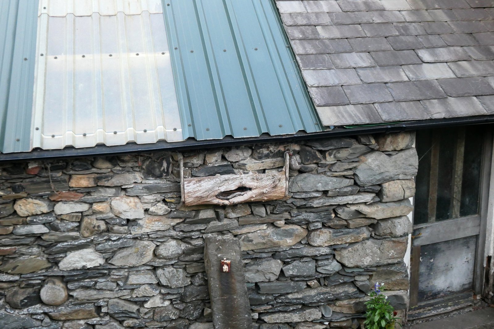 P1078133_edit_crop_scale_85